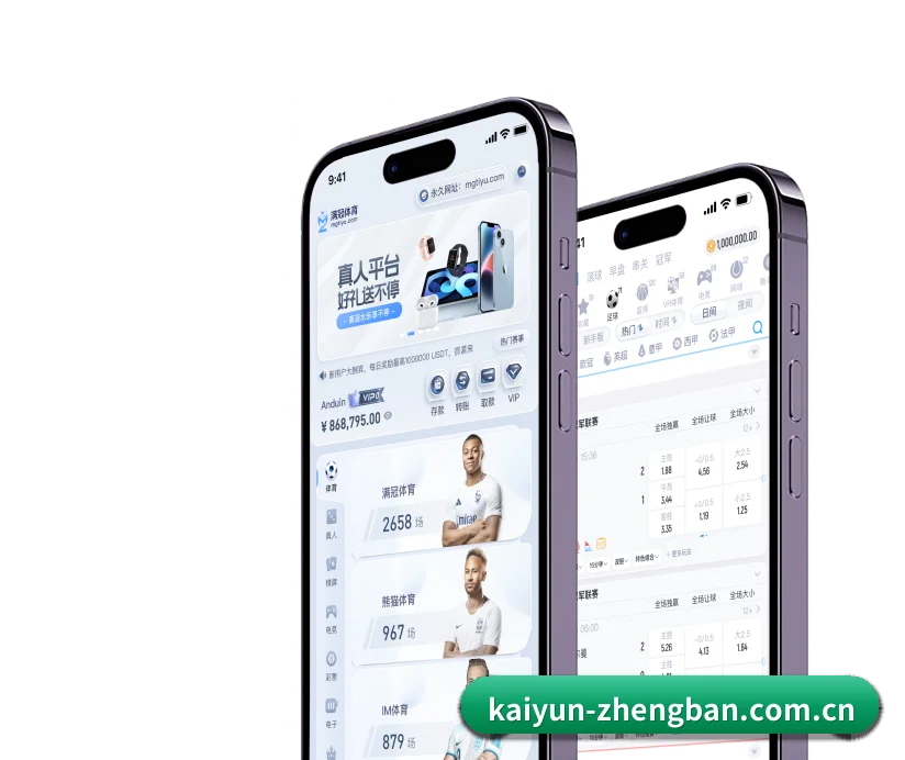 开云正版 APP 界面